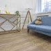 Виниловый пол Damy Floor коллекция Family Дуб Селект / Select Oak 001-2