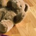 Паркетная доска Polarwood Дуб Тундра трехполосный
