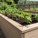 Доска для грядки из ДПК SaveWood, SW Rubus (R), Бежевый