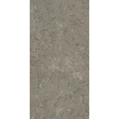 Керамогранит Atlas Concorde (Атлас Конкорд) Marvel Meraviglia Grigio Elegante Lappato (Ajhw) 60x120 см, лаппатированный