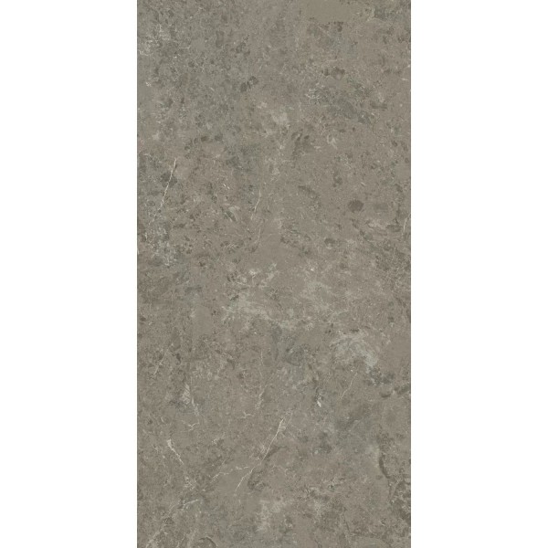 Керамогранит Atlas Concorde (Атлас Конкорд) Marvel Meraviglia Grigio Elegante Lappato (Ajhw) 60x120 см, лаппатированный