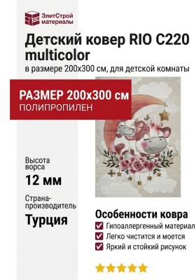 Ковер RIO C220 multicolor 200x300