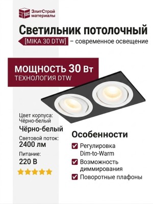 Светильник потолочный MIKA 30 DTW W 2FB