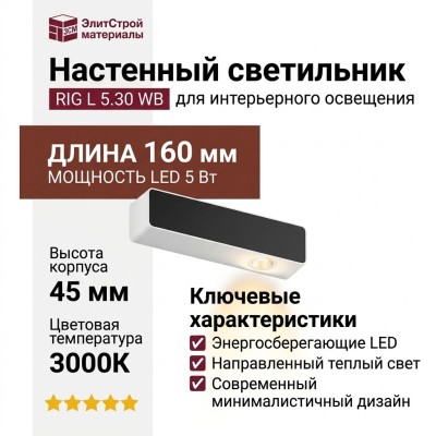 Светильник настенный RIG L 5.30 WB