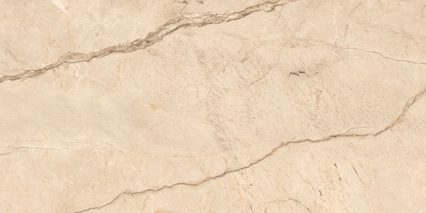 One Touch Wild Forest Grey (60x120)