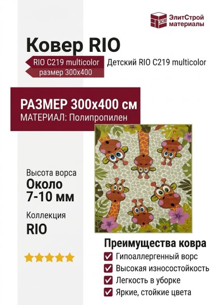 Ковер RIO C219 multicolor 300x400