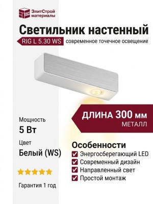 Светильник настенный RIG L 5.30 WS