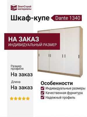 Шкаф-купе Dante 1340