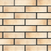 Фасадные термопанели Аляска 21. Retro brick salt