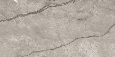 One Touch Wild Forest Moka (60x120)