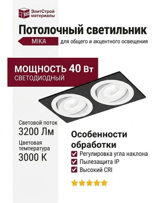 Светильник потолочный MIKA 30.40 W 2FB