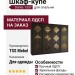 Шкаф-купе Dante 1337