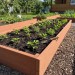 Доска для грядки из ДПК SaveWood, SW Rubus (R), Терракот