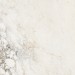 Staroslabs Polished Brecha Crema Glossy 120x120 УТ-00001027