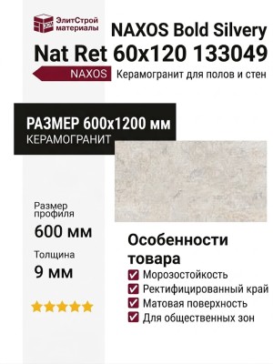 NAXOS Bold Silvery Nat Ret 60x120 133049