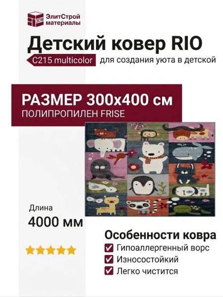 Ковер RIO C215 multicolor 300x400