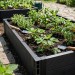 Доска для грядки из ДПК SaveWood, SW Rubus (R), Черный