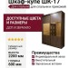 Шкаф-купе ШК-17