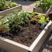 Доска для грядки из ДПК SaveWood, SW Rubus (T), Бежевый