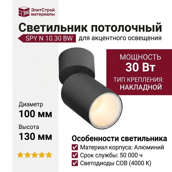 Светильник потолочный SPY N 10.30 BW