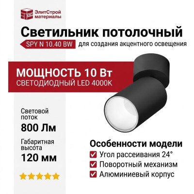 Светильник потолочный SPY N 10.40 BW