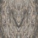 Zodiac Frappuccino Polished 120x270 MN319CP271206