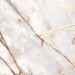 AVA Ceramica Marmi Siciliani Bianco Imperiale Nat Ret 60x120 277101