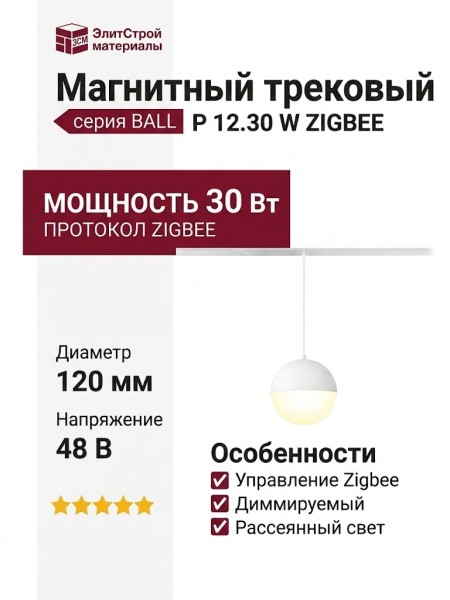 Магнитный трековый светильник BALL P 12.30 W ZIGBEE