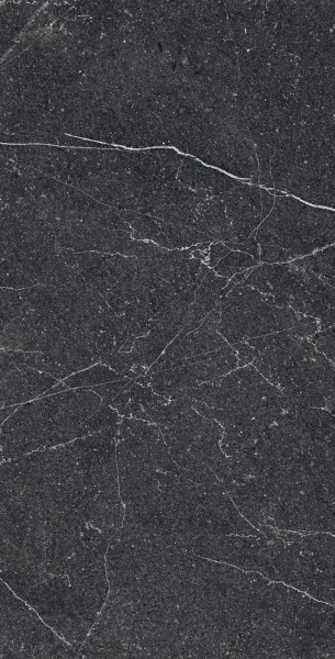 Arcadia Ceramica EQUISTONE CHARCOAL керамогранит  глянцевый 60x120 ROTTO GLOSSY