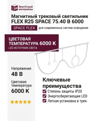 Магнитный трековый светильник FLEX R25 SPACE 75.40 B 6000