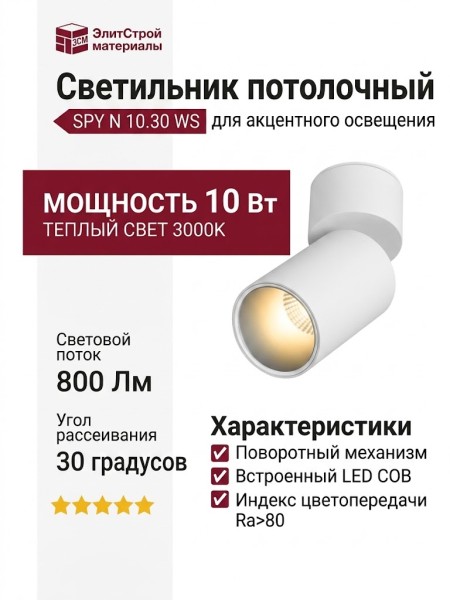 Светильник потолочный SPY N 10.30 WS