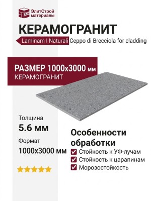 Laminam I Naturali Ceppo di Brecciola Grigio Bocciardato 5.6 mm 100x300 LAMF009794