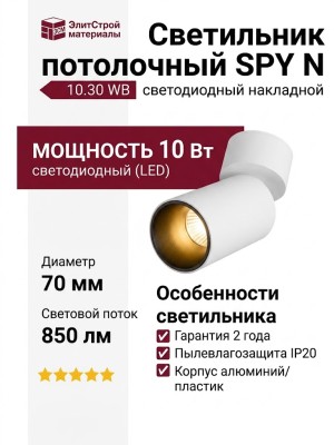 Светильник потолочный SPY N 10.30 WB