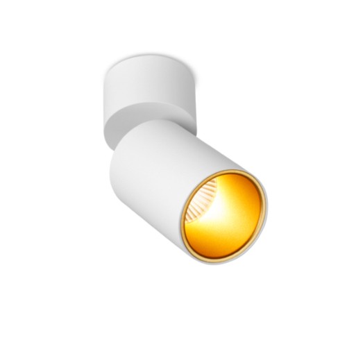 Светильник потолочный SPY N 10.30 WG