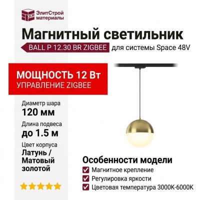 Магнитный трековый светильник BALL P 12.30 BR ZIGBEE