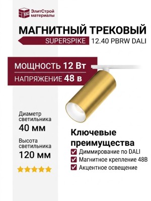 Магнитный трековый светильник SUPERSPIKE 12.40 PBRW DALI