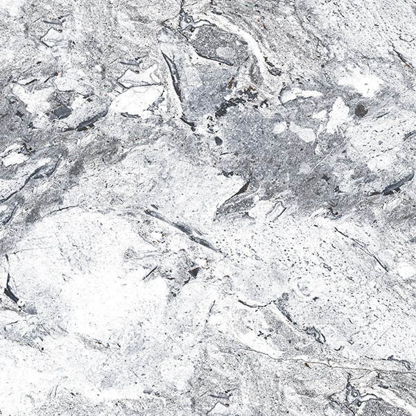 Progress ORDITO GREY керамогранит полированный 60x60 см AB 1111G