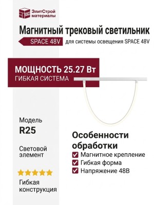 Магнитный трековый светильник FLEX R25 SPACE 25.27 W 2000
