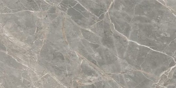 Rex Ceramiche Etoile De Rex Gris Glossy 120x280 761728