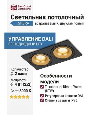 Светильник потолочный SFERA R 22 DTW BG 2FB DALI