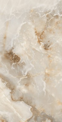 Arcadia Ceramica INVISIBLE ONYX керамогранит  глянцевый 60x120 FP