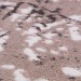Ковровая дорожка Graff Merinos 3433 grey-beige 400x2500