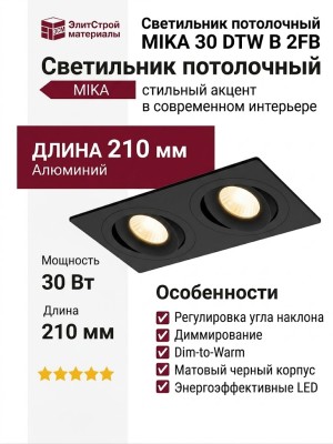 Светильник потолочный MIKA 30 DTW B 2FB