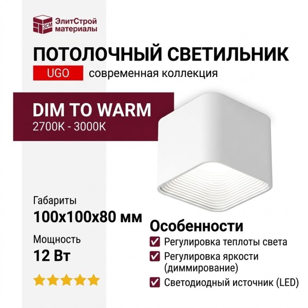 Светильник потолочный UGO S W DW