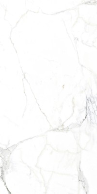 Arcadia Ceramica LUCE STATUARIO керамогранит глянцевый 60x120  FP
