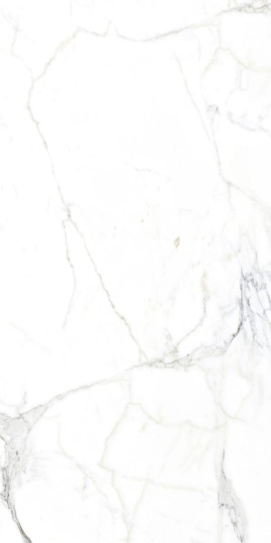 Arcadia Ceramica LUCE STATUARIO керамогранит глянцевый 60x120  FP