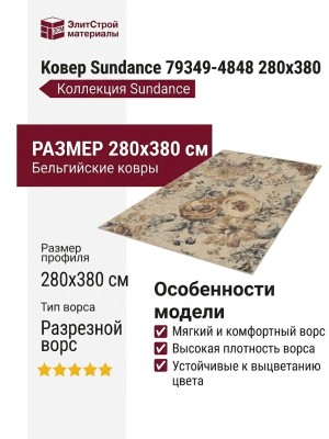 Ковер Sundance 79349-4848 280x380
