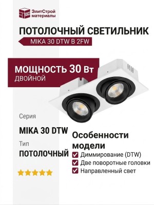 Светильник потолочный MIKA 30 DTW B 2FW