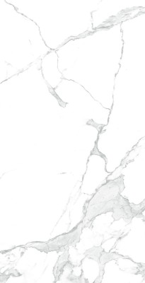 Arcadia Ceramica PARADISE STATUARIO керамогранит  карвинг 60x120  CR
