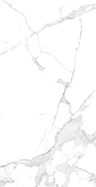 Arcadia Ceramica PARADISE STATUARIO керамогранит  карвинг 60x120  CR